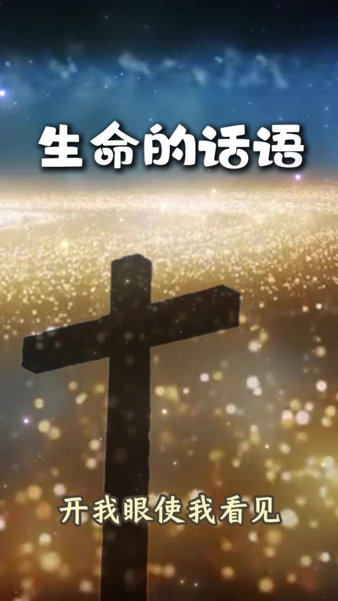 @颂赞飞扬