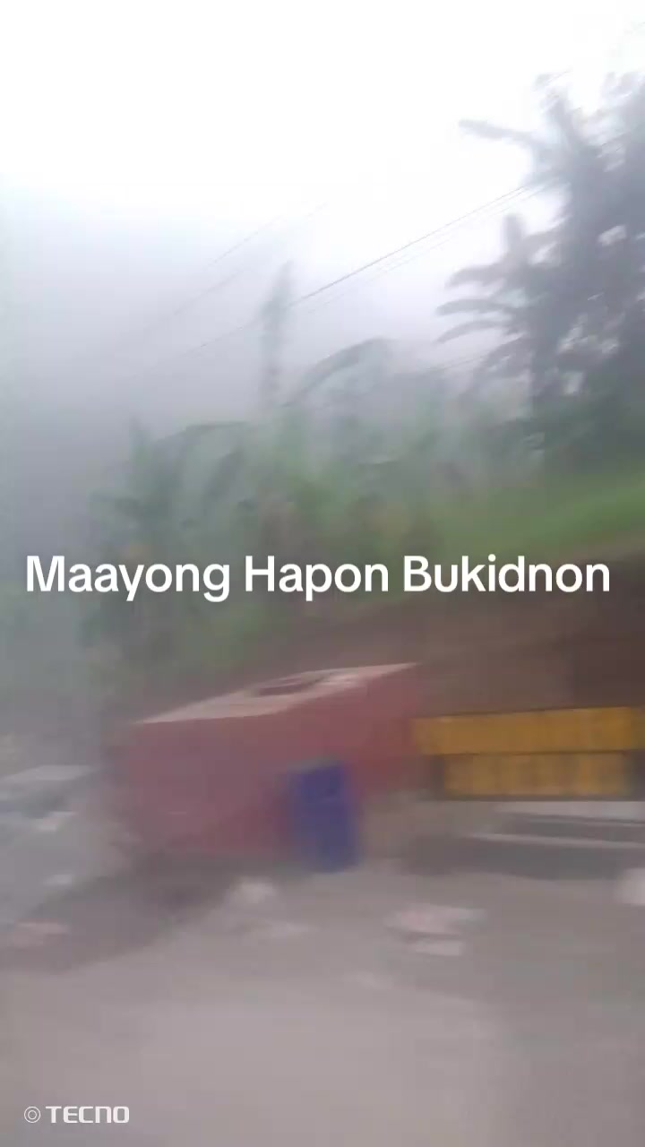 @wildedon vlog
