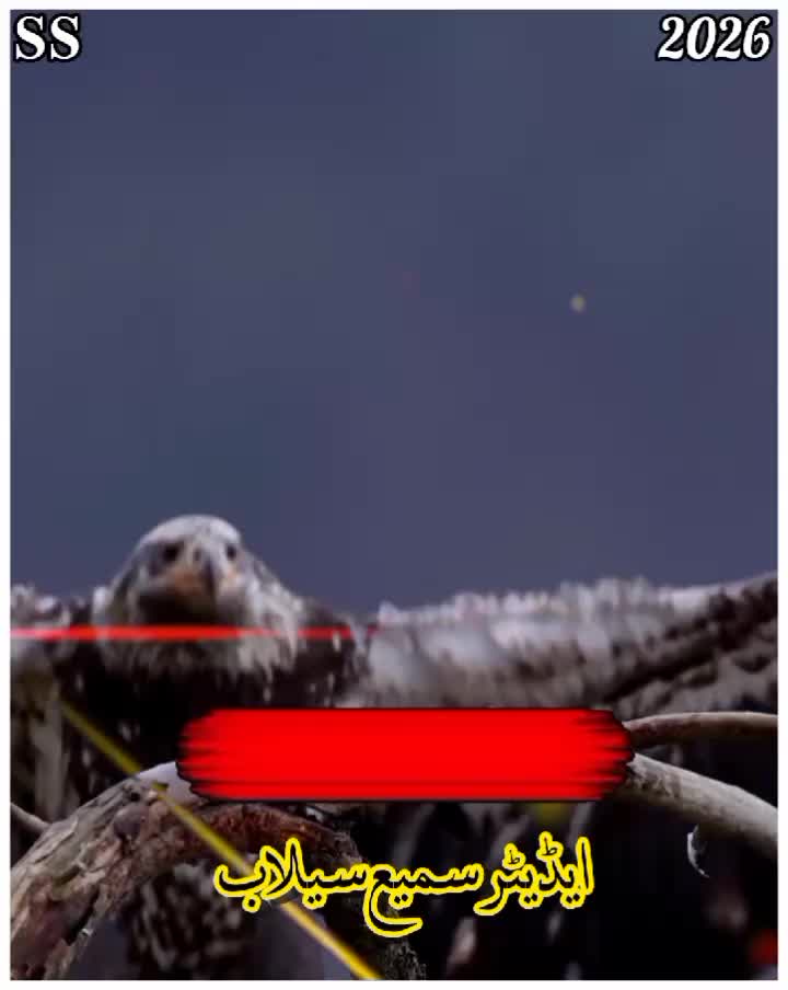 @꧁༺𝐬𝐚𝐦𝐢 𝐬𝐞𝐥𝐚𝐛༻꧂