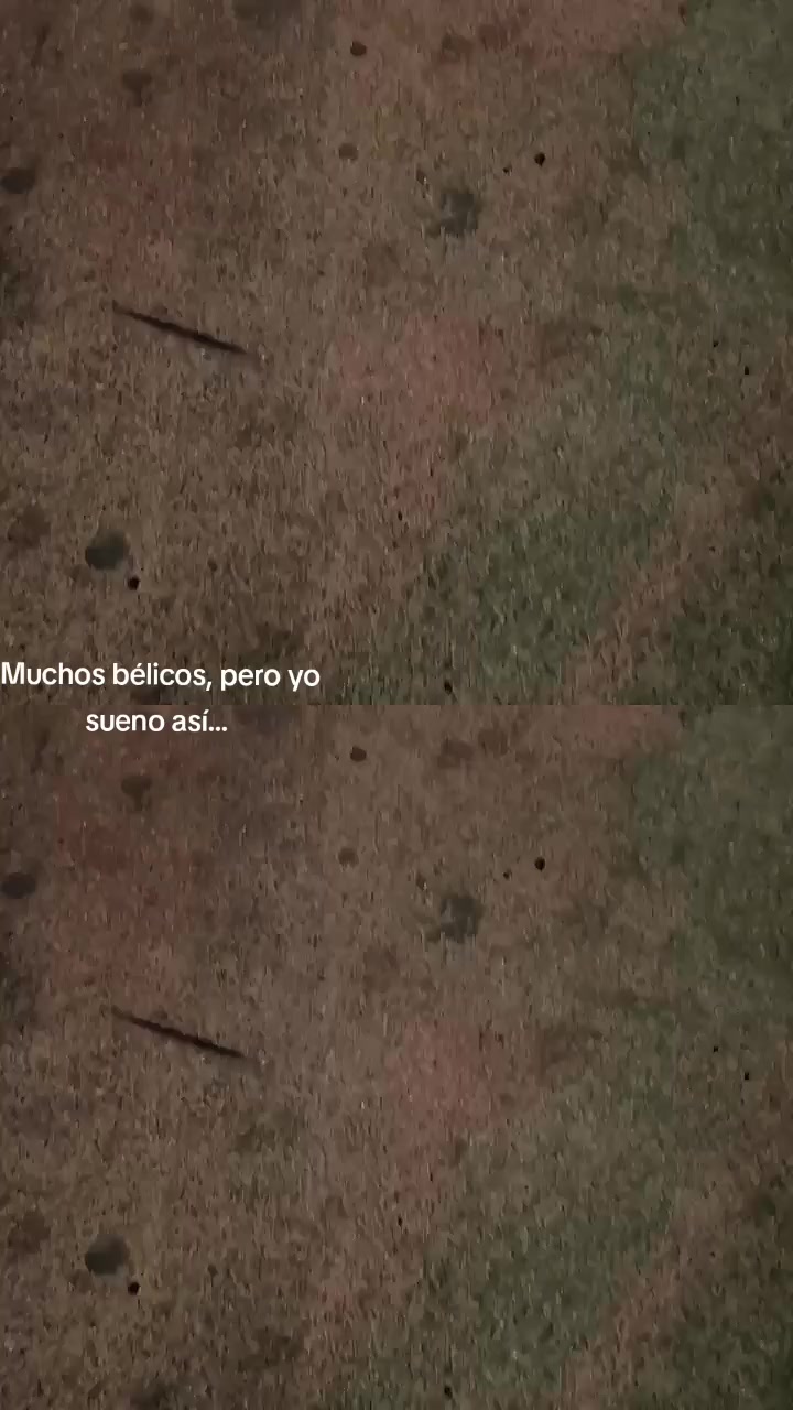 @Wolf