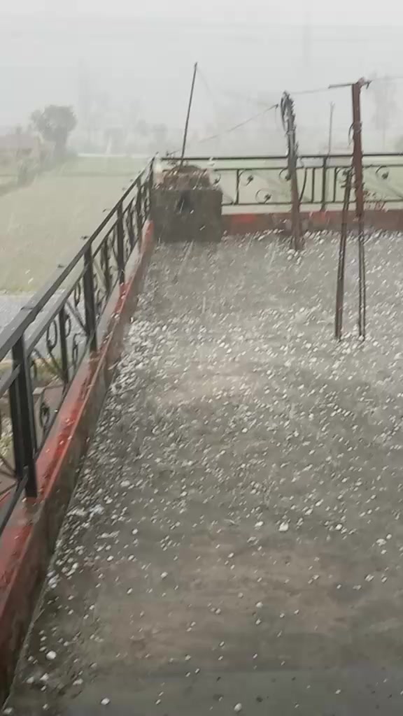 @प्रिन्स कुँवर(क्षेत्री)