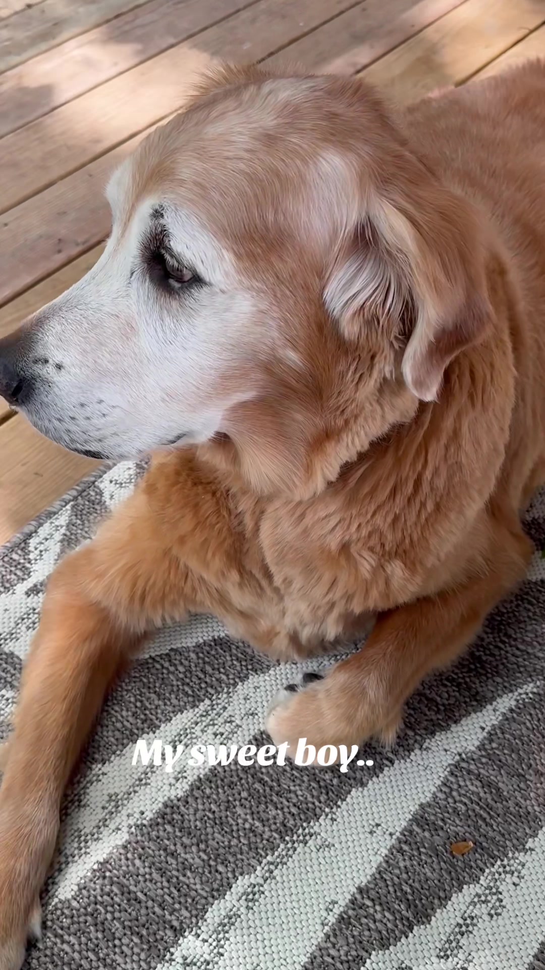 @lifewithduke2025