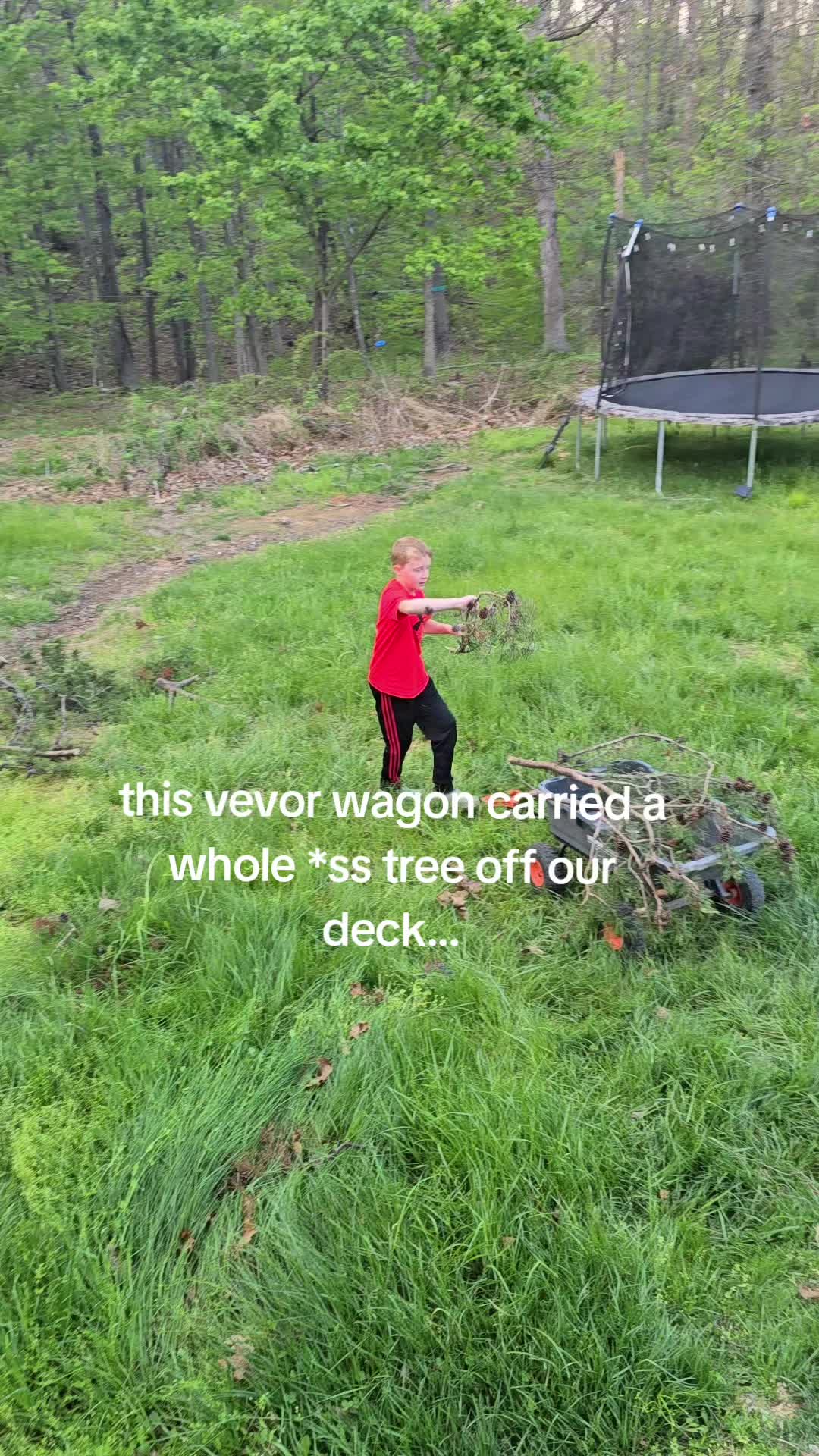 @The | Vegan | Mom