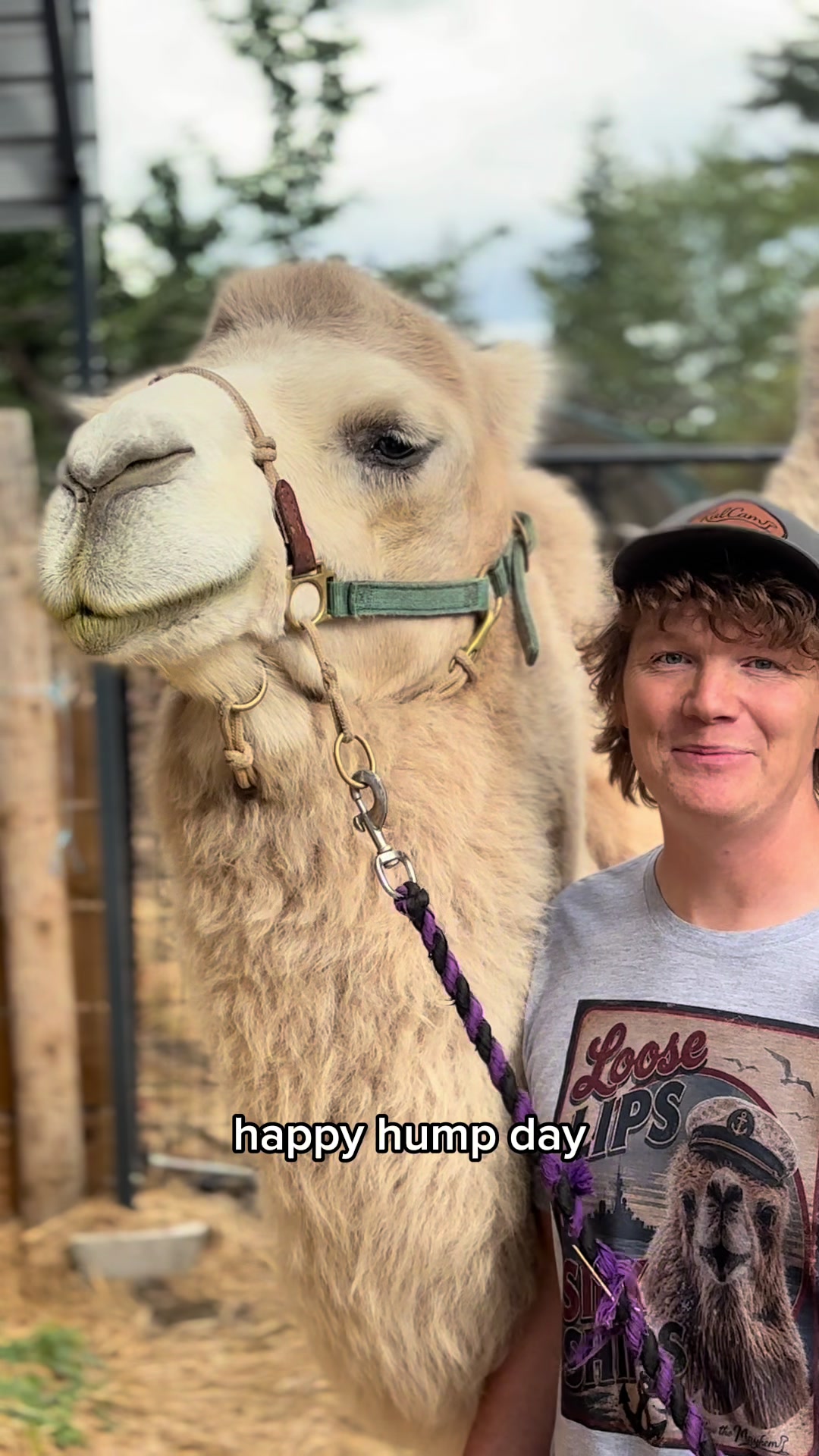 @MayhemTheCamel