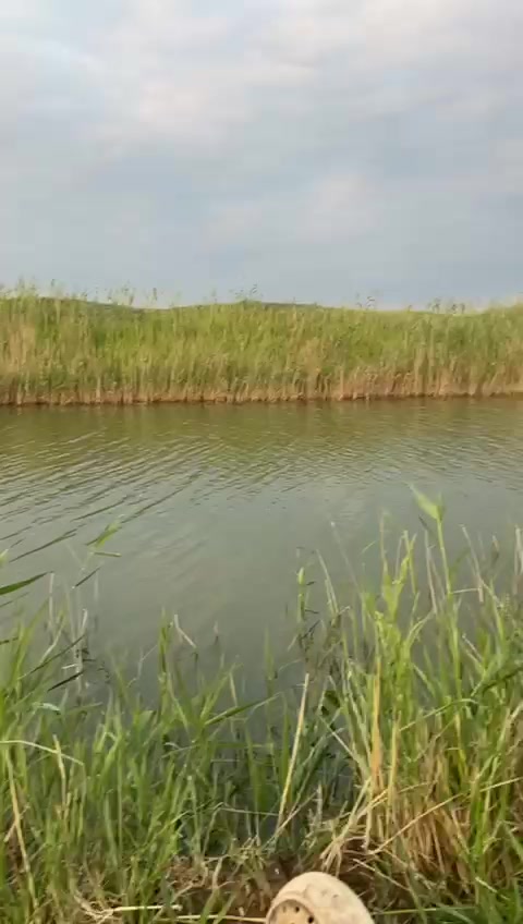 @samat2023