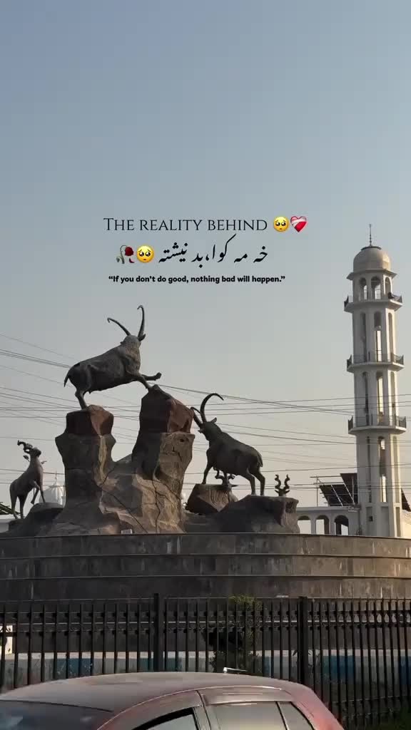 @Haseebullah 🕊️