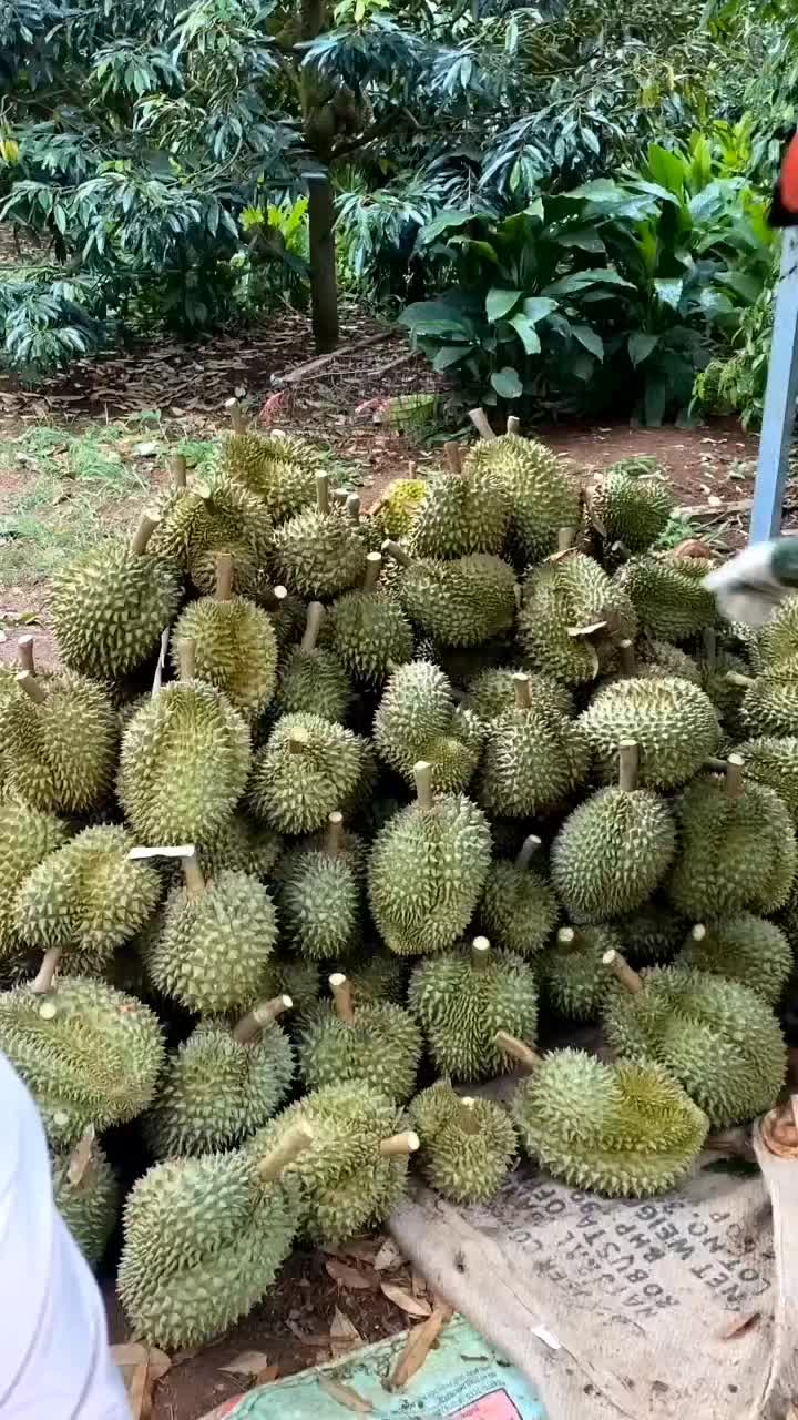 @Vinh Bùa