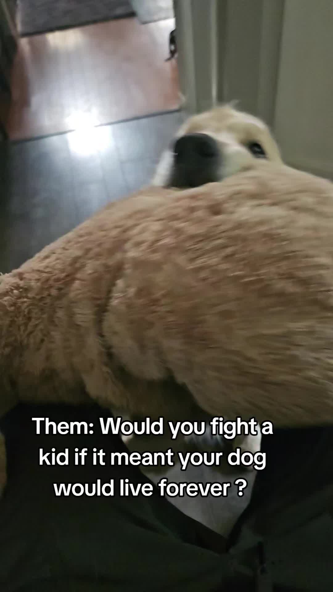 @🐶Griffin