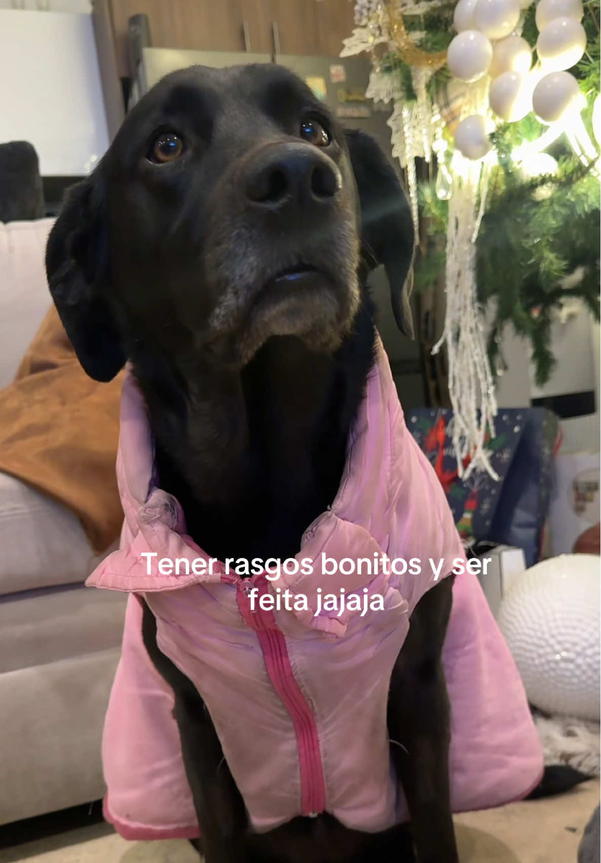 @tu.cachorrita