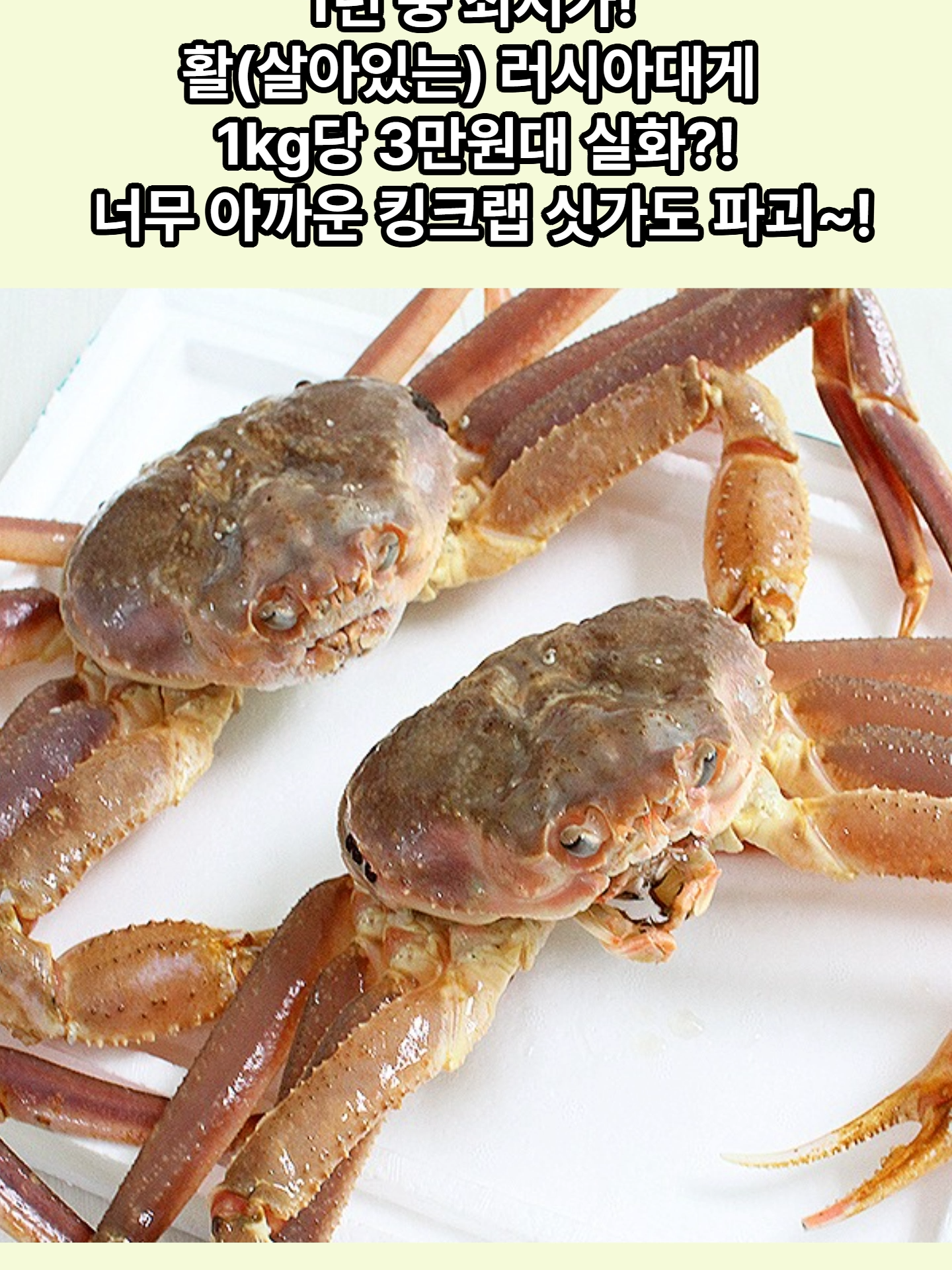 @킹크랩 대게 동해수산유통