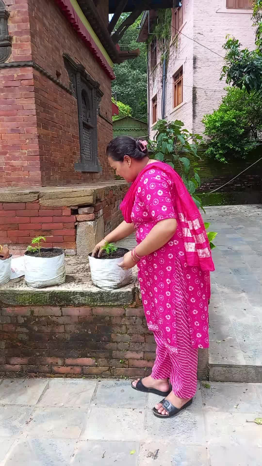 @Sharmila Wagle