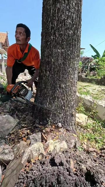 @Yulianto