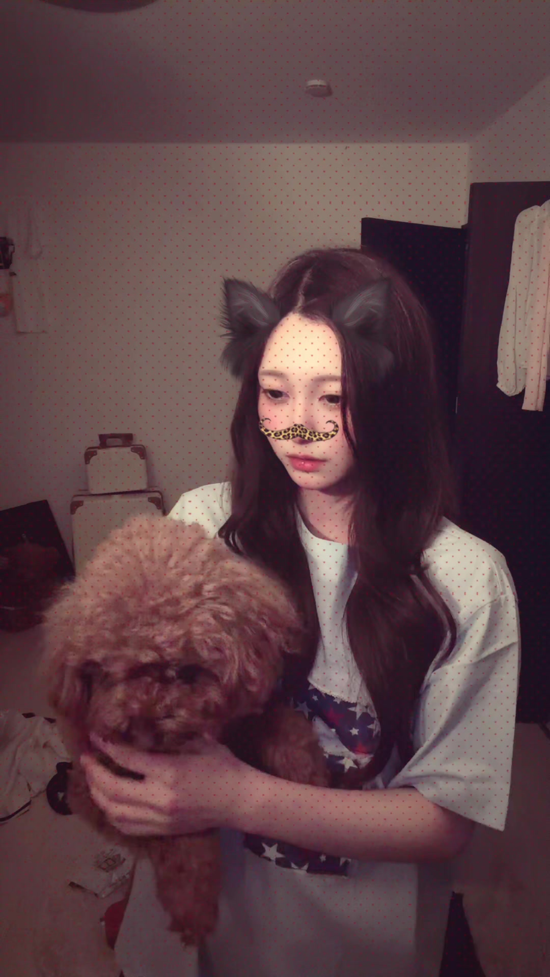 @くろまめっち