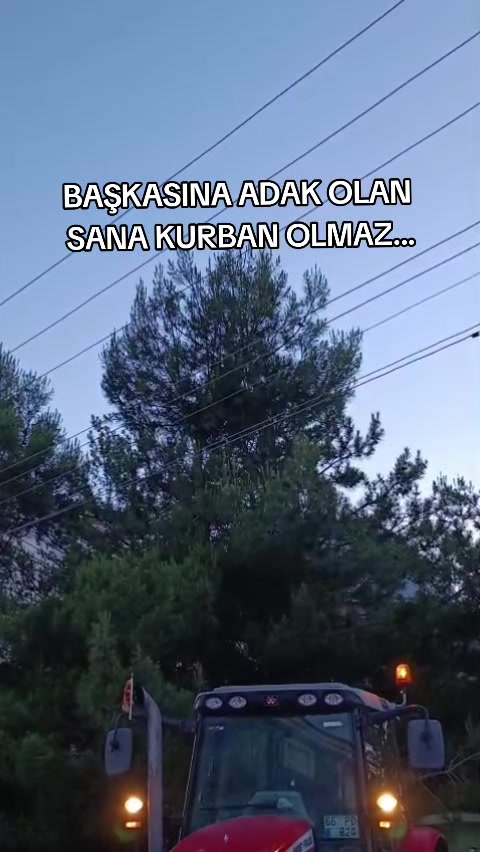 @Ahmet Salmanlı_66