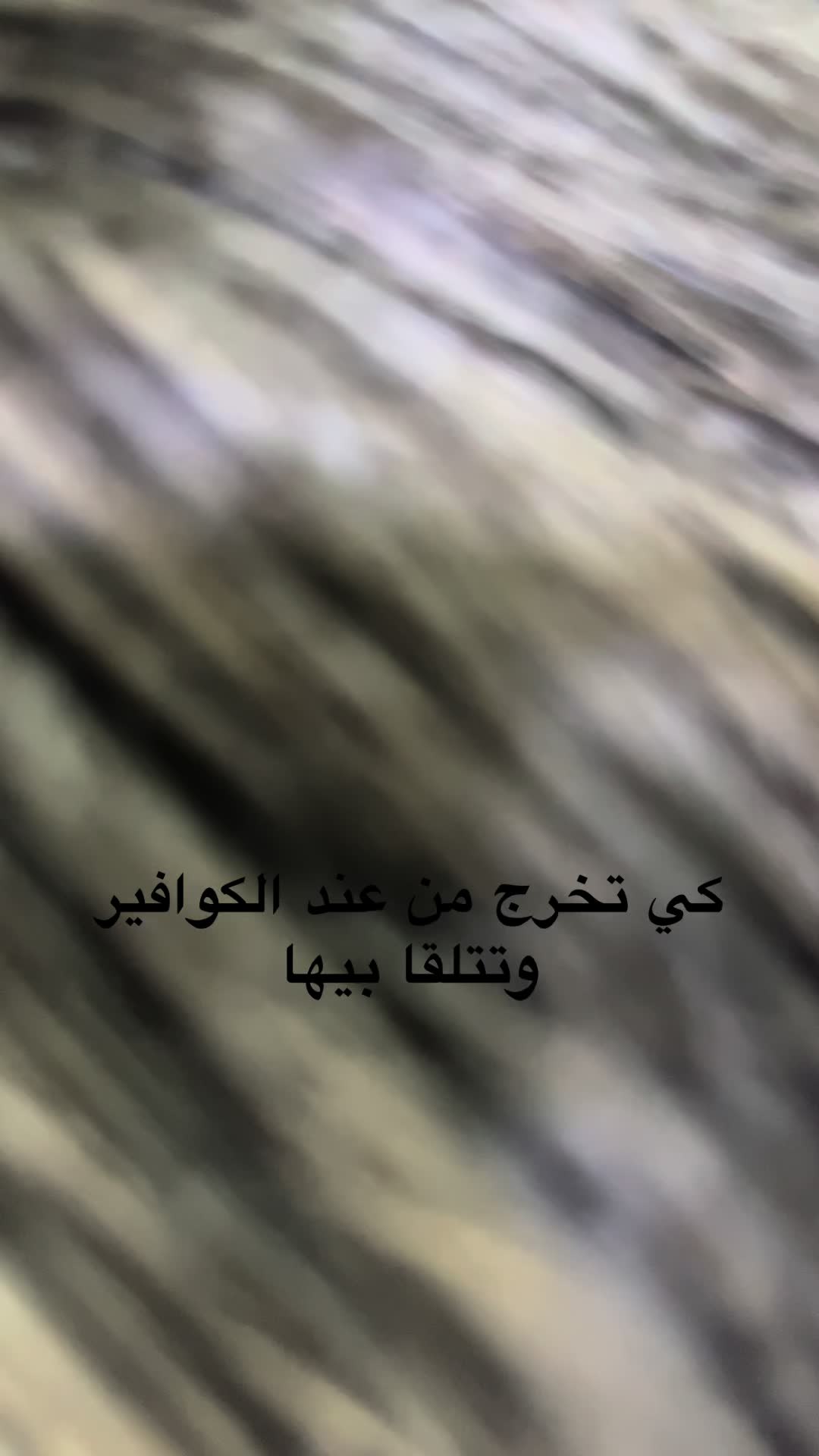 @wassimlo94