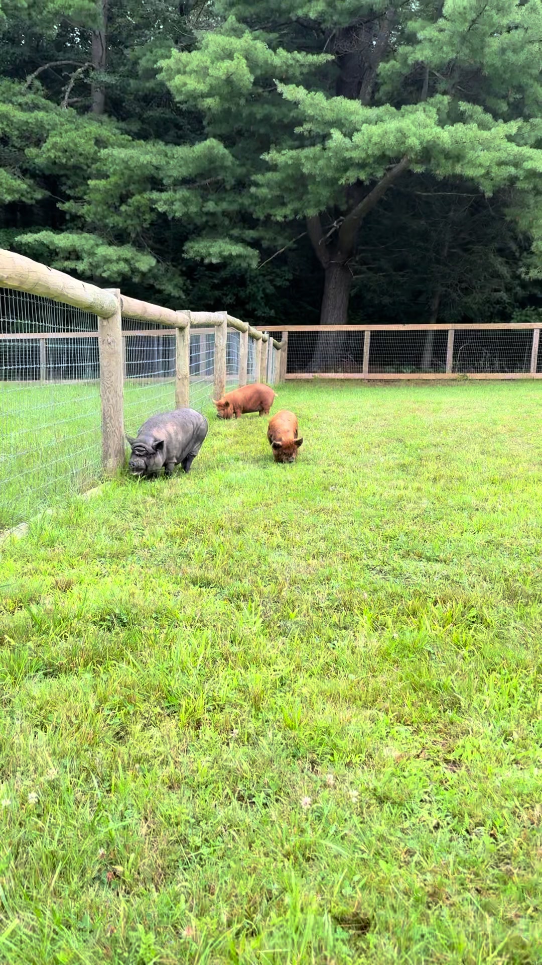 @Arthur’s Acres