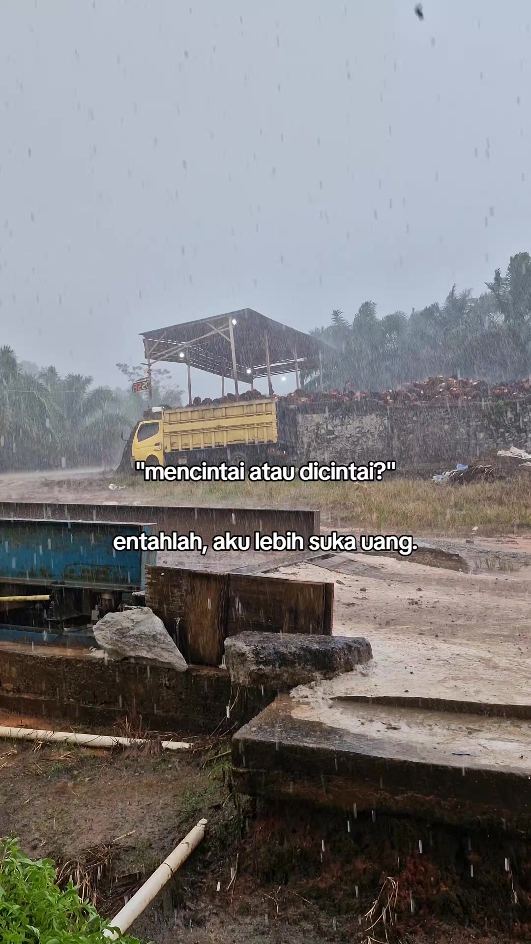 @Viii