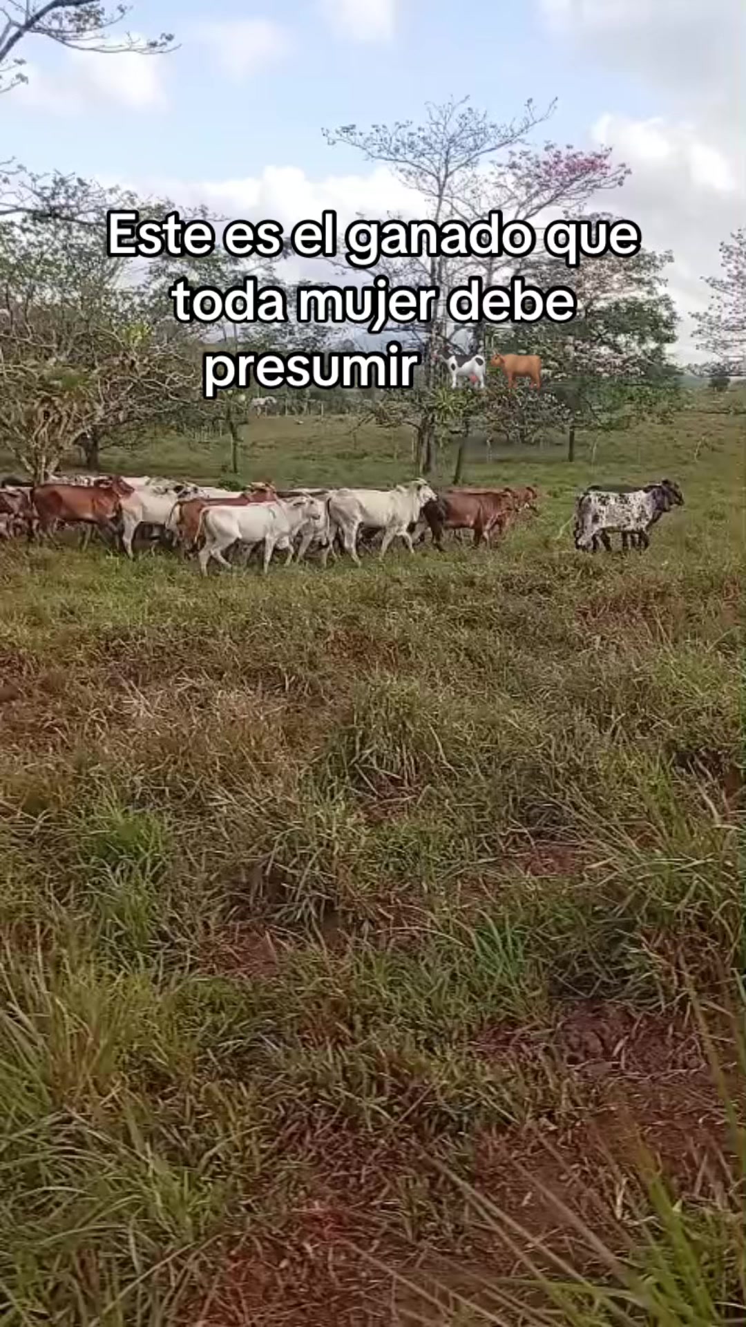 @Dani🧿