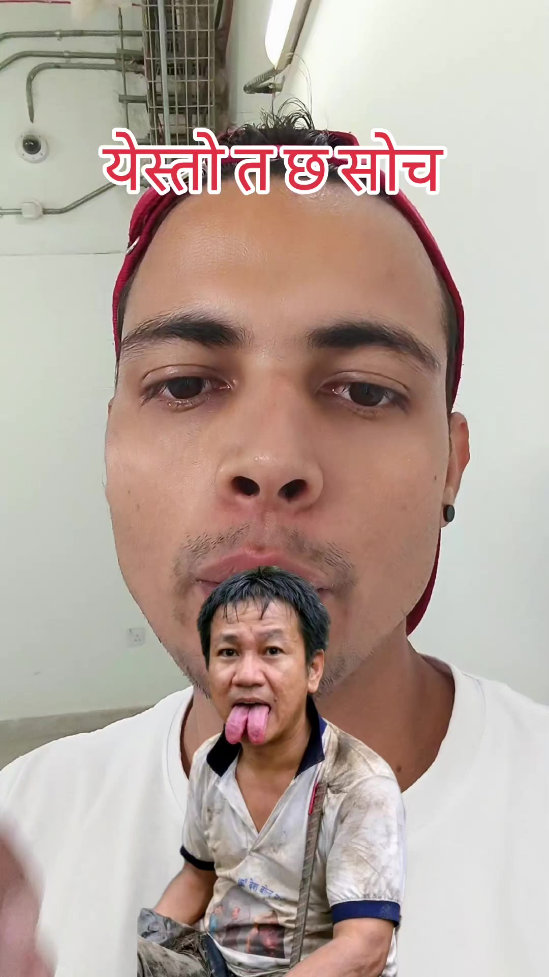 @roaster hapyak