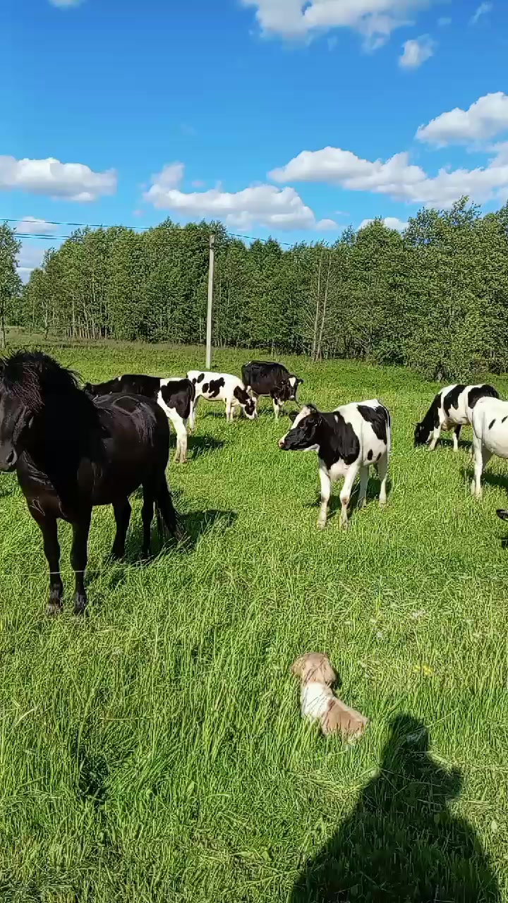 @Артём Смотрицкий