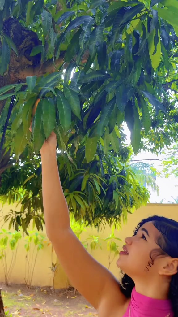 @Mehkanumberonefan
