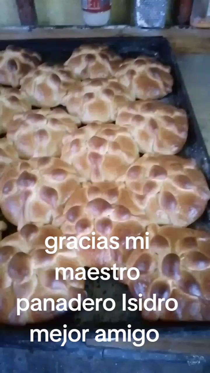 @Rafiki Rey Leon