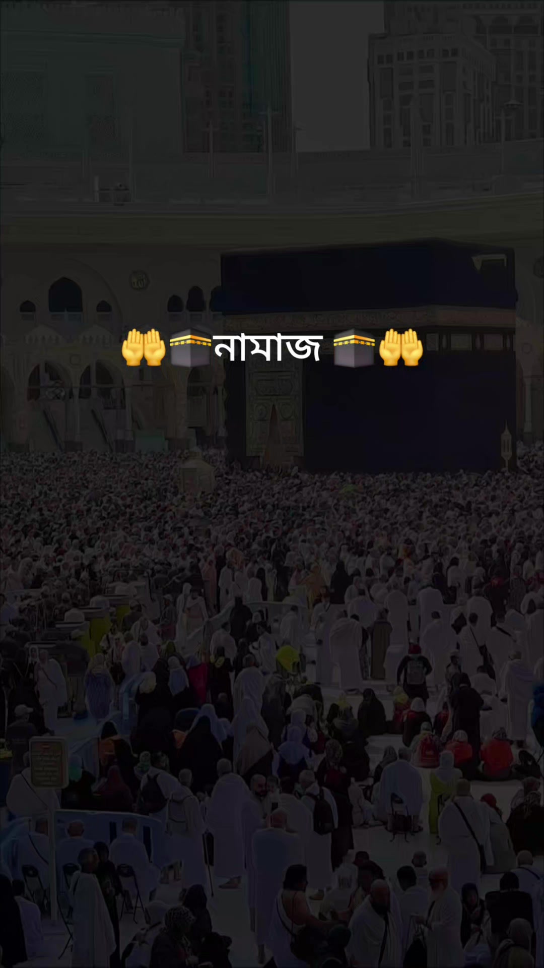 @সোহেল (shohel)