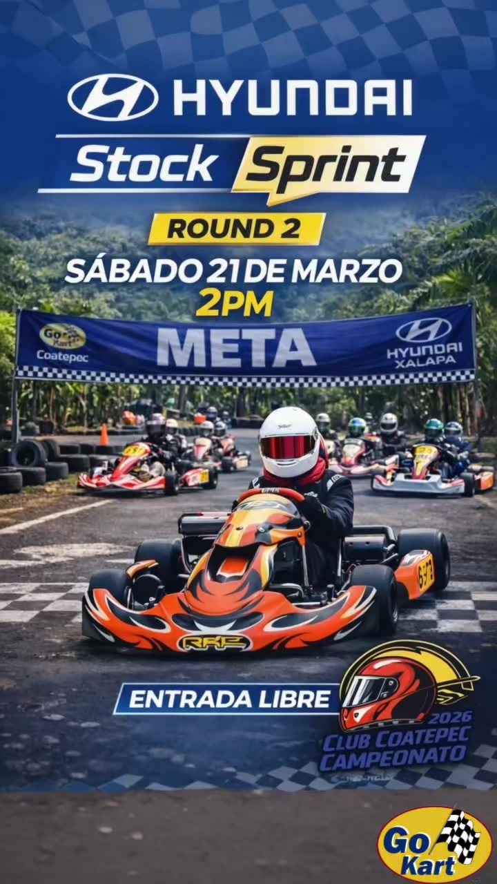 @gokartscoatepec