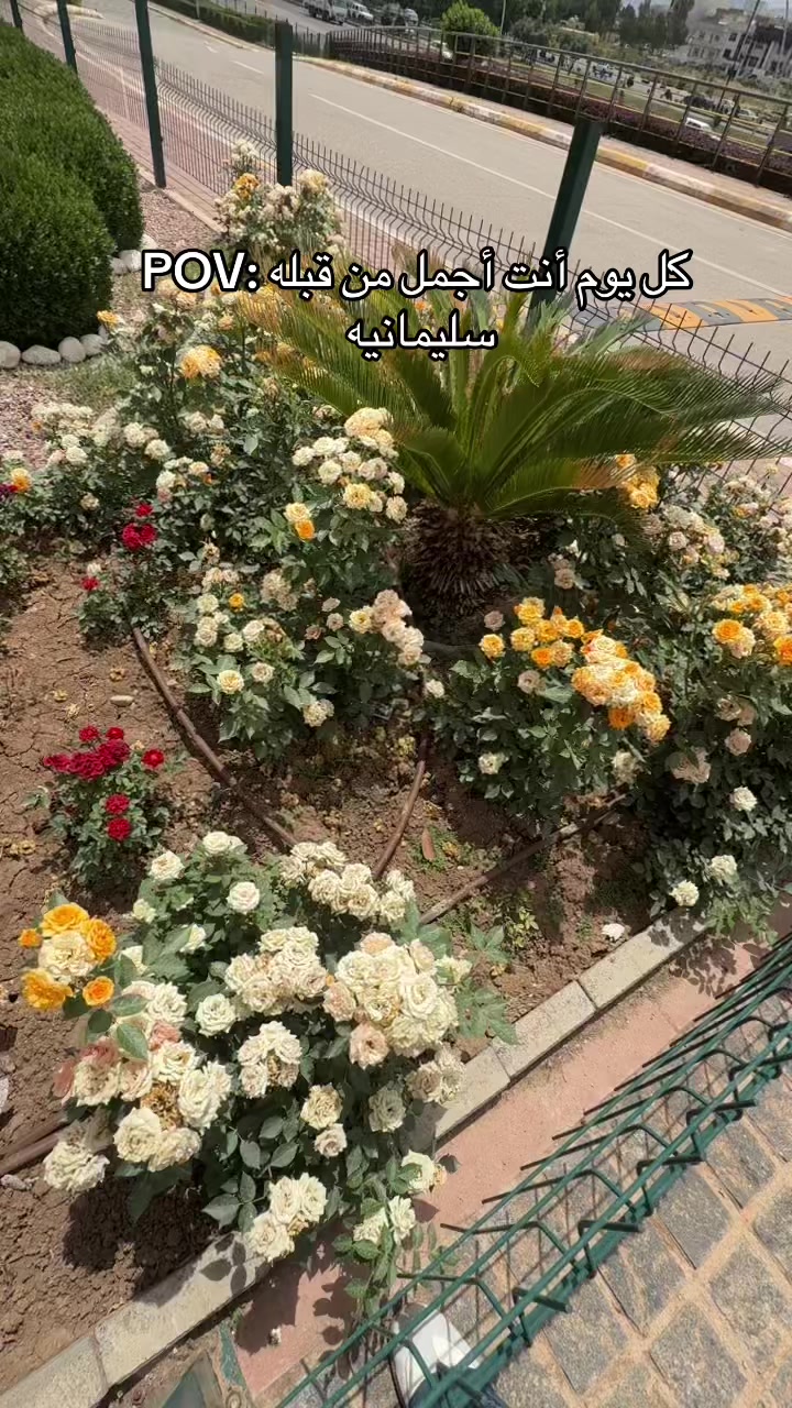 @السليمانيه مدينتي