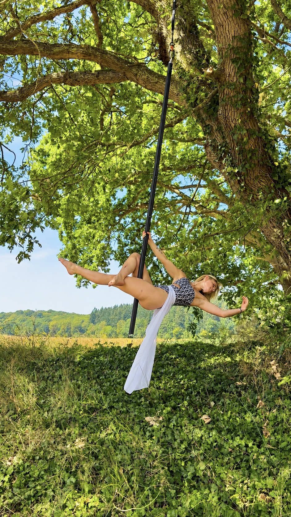 @Marine_moonlight_pole
