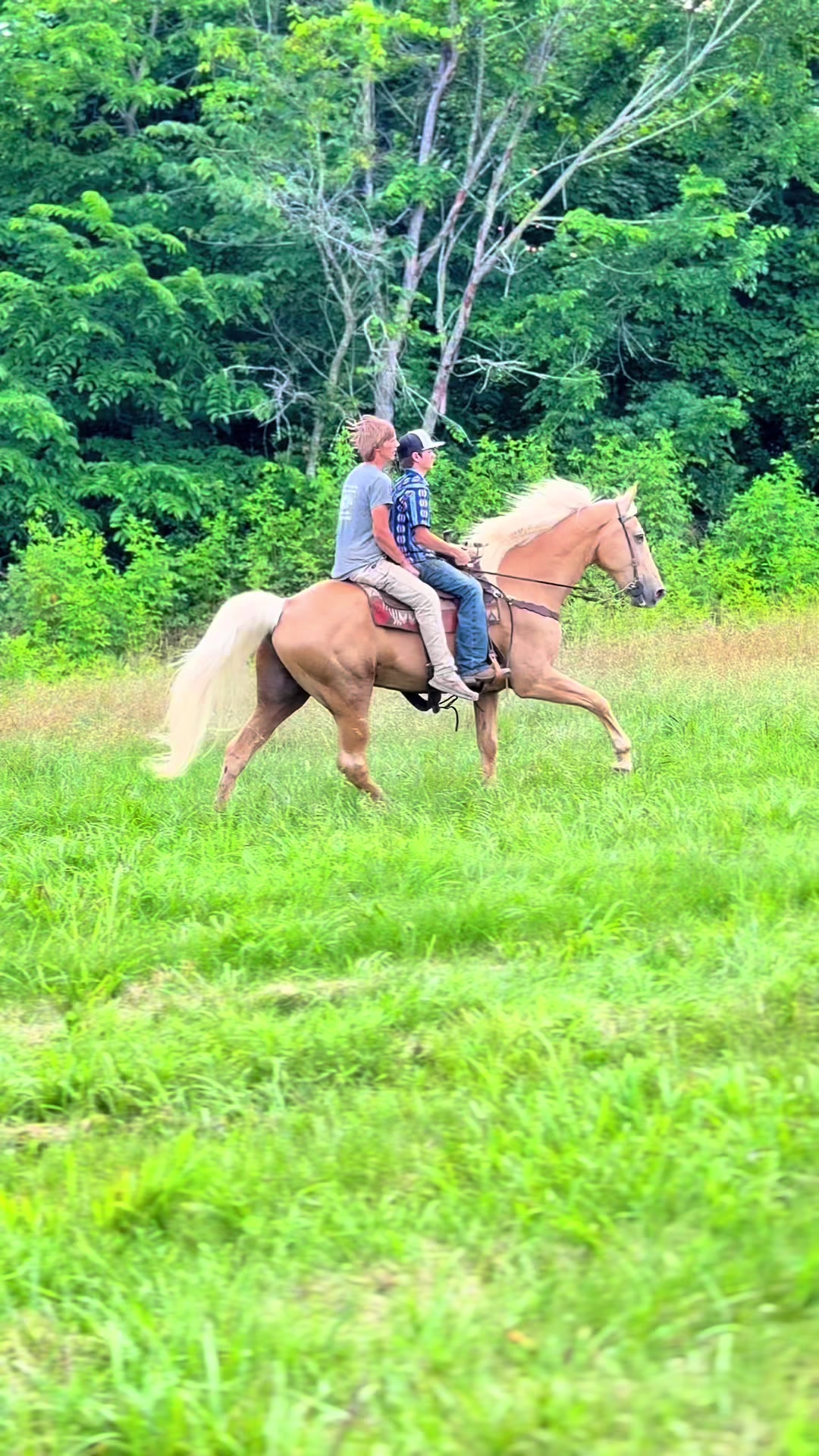 @Lucky D Ranch 🍀