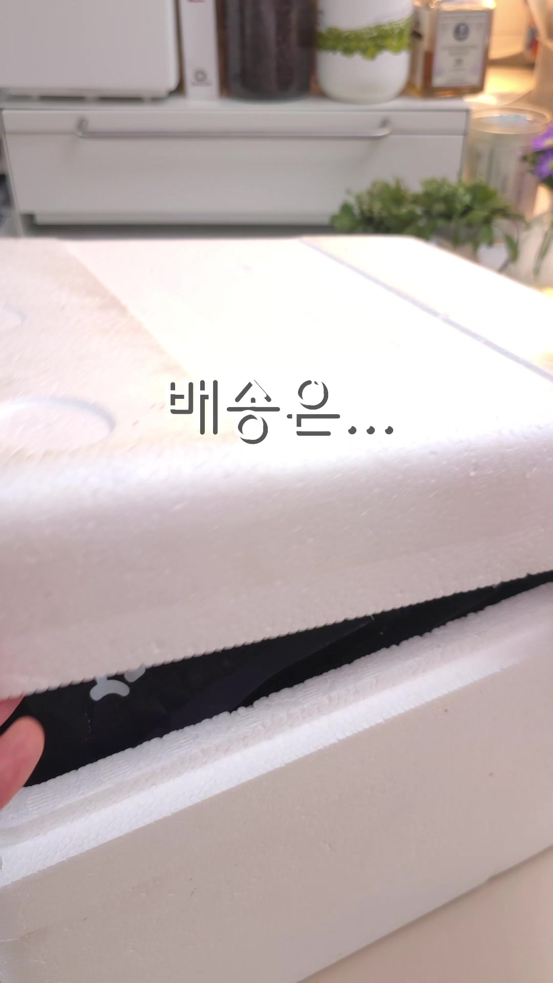 @굿데이
