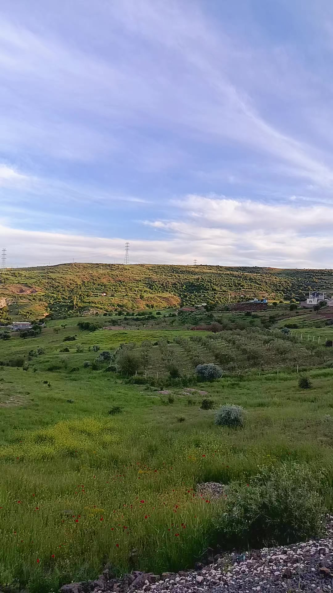 @Zeyno günn