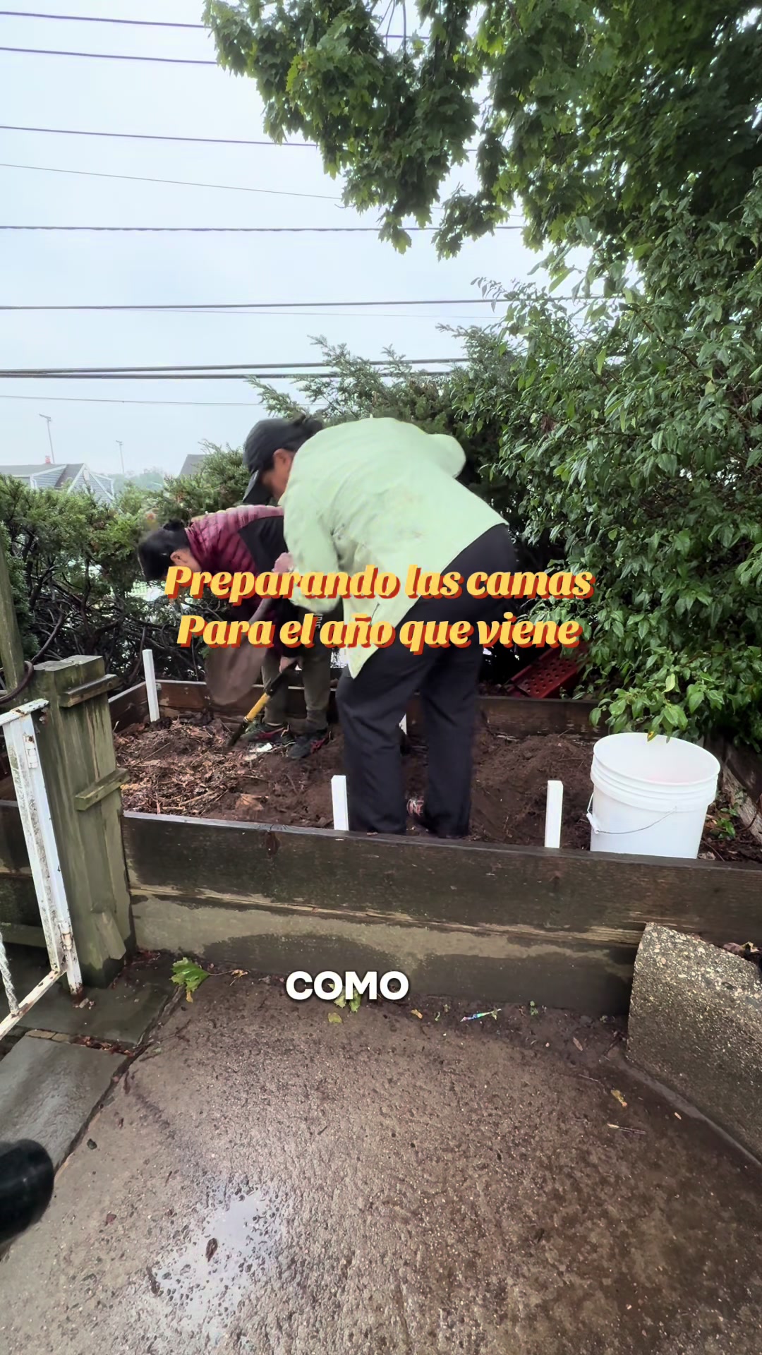 @Veronica Castillo