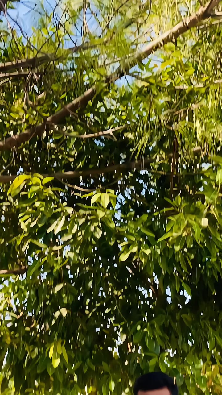 @Saadixe_001