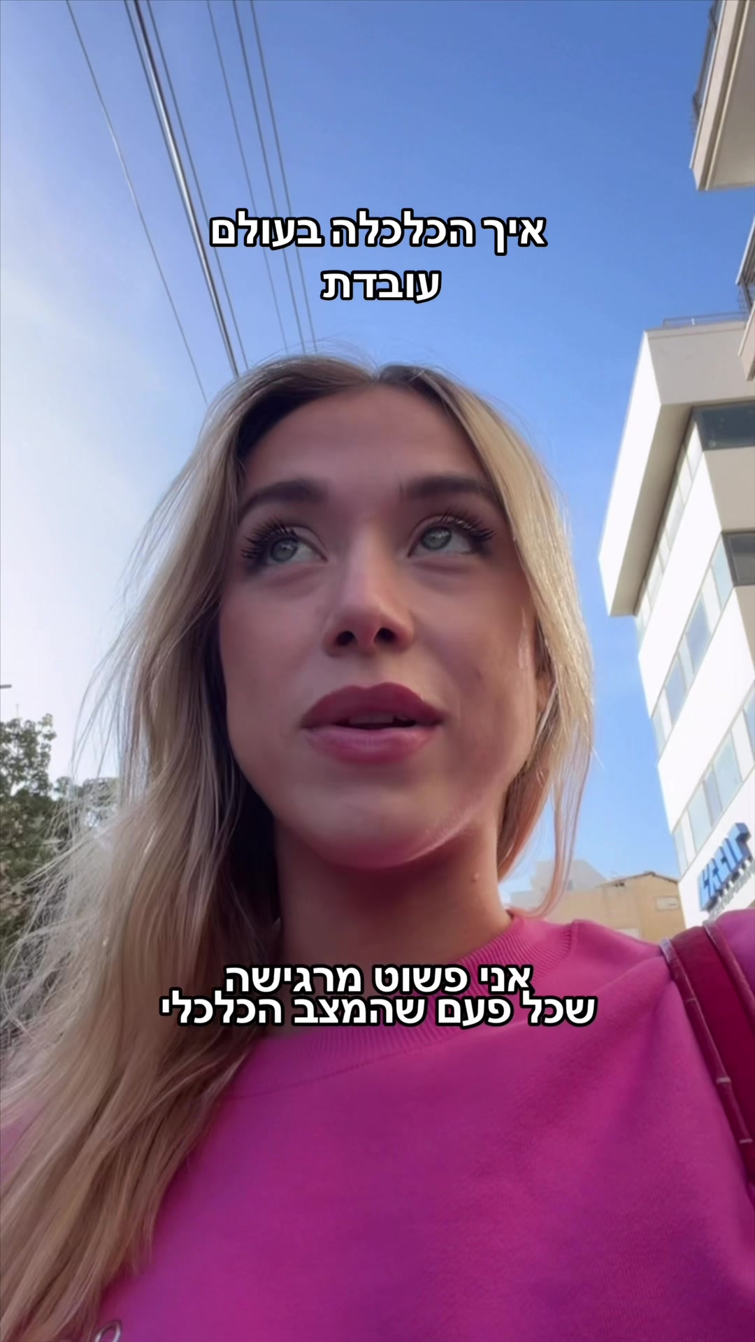@מישל המלכה