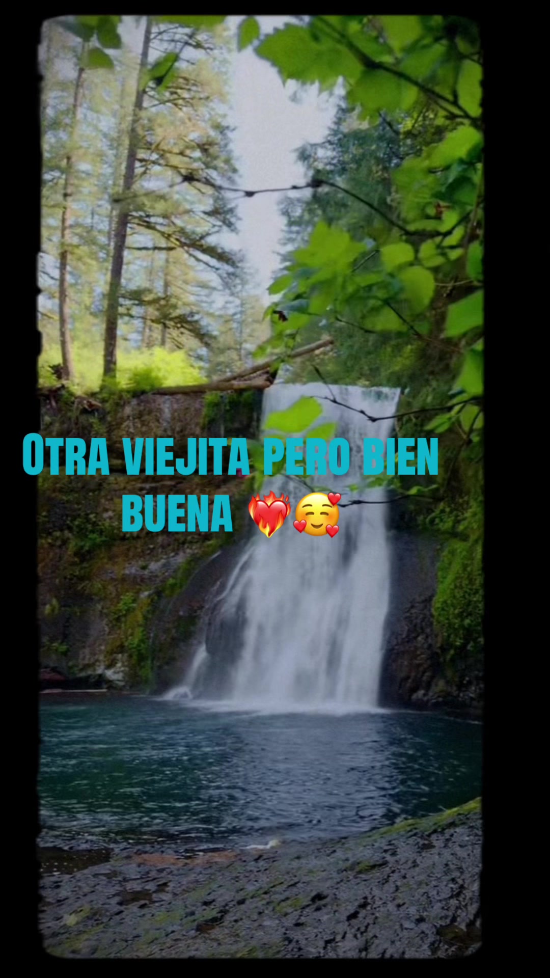 @JC &hearts;️Tu Consentido