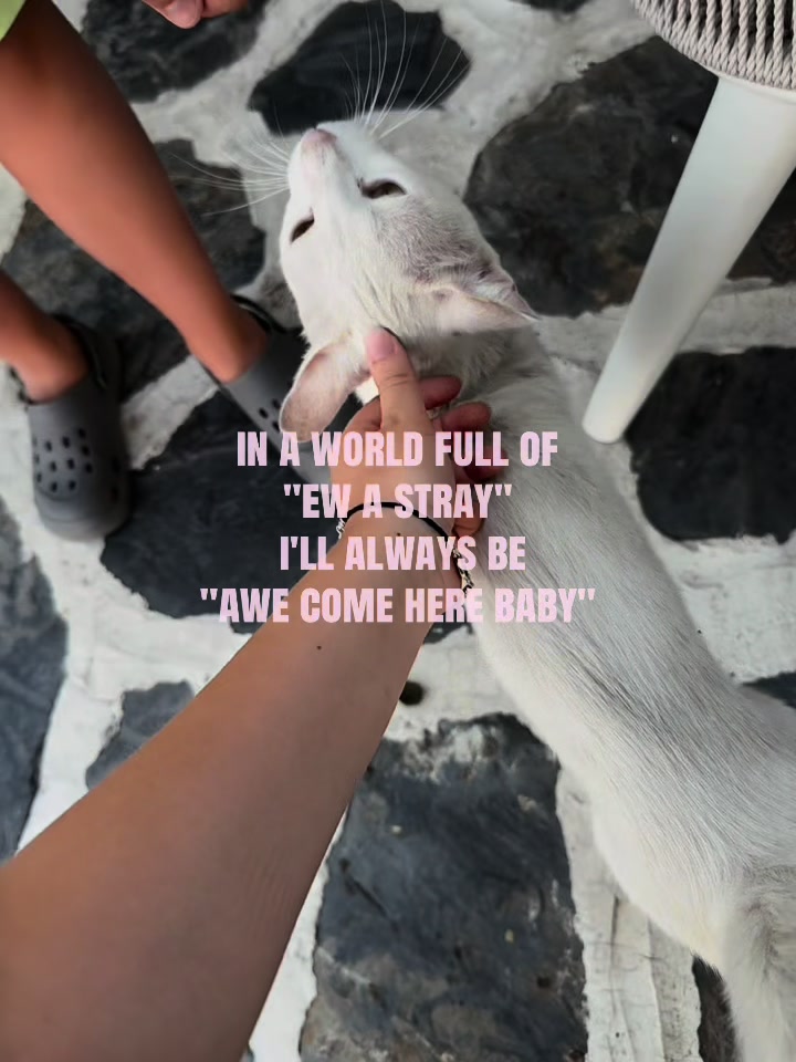 @Anastasia🐈&zwj;⬛