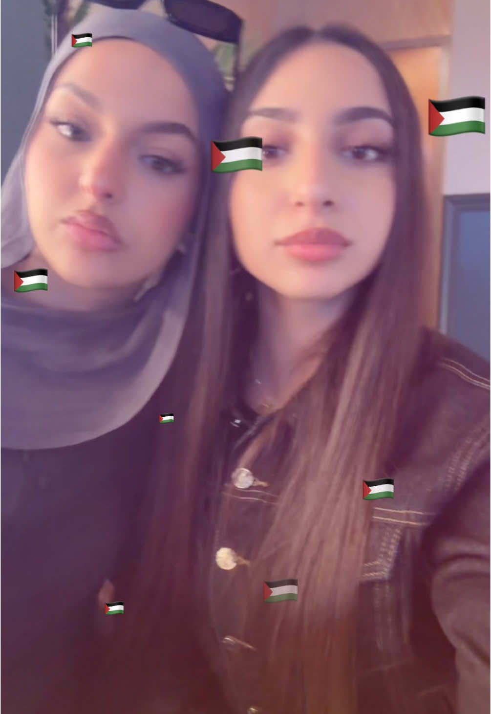 @falastinibaddies