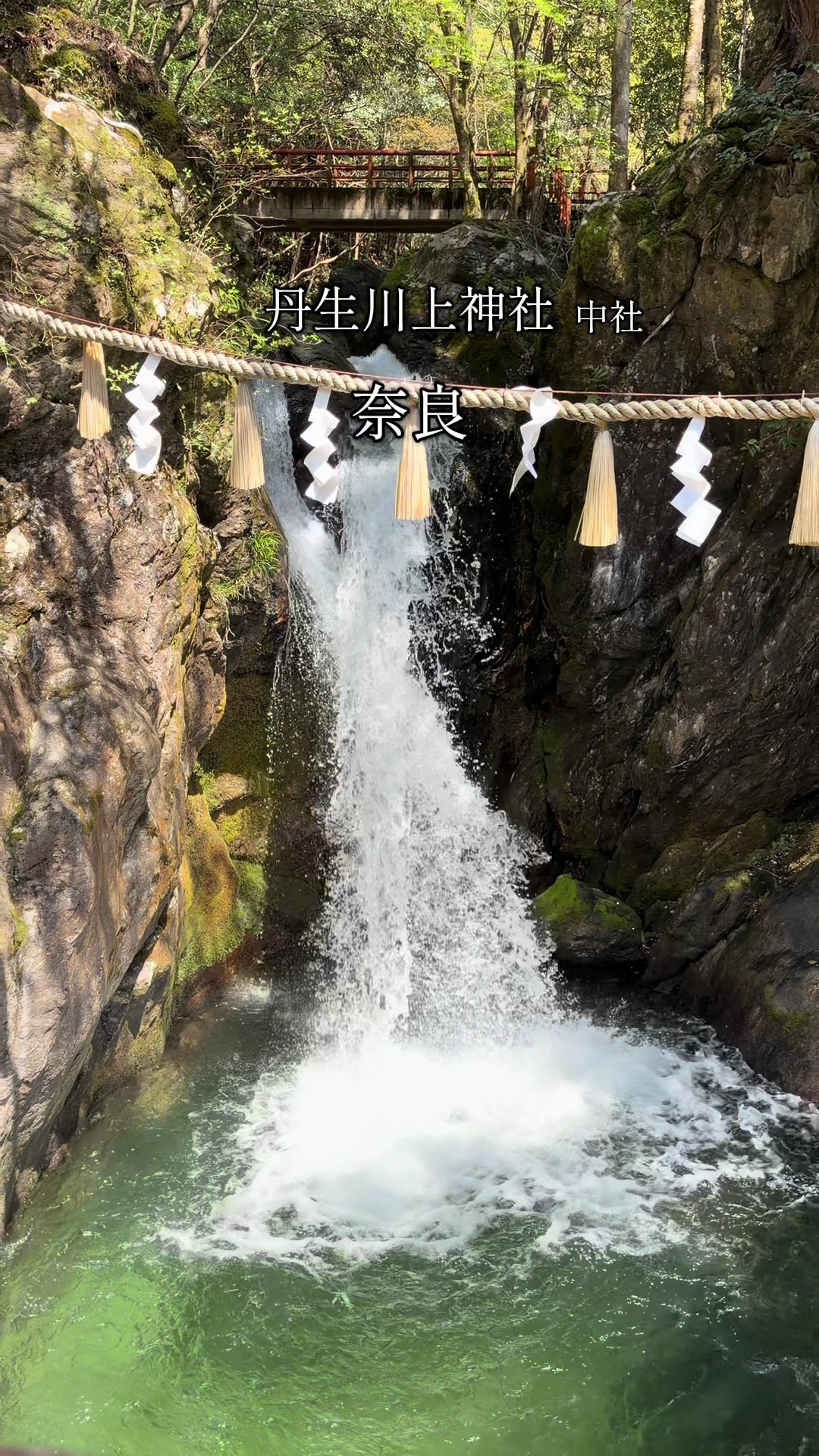 @megurinðºæ
ããã