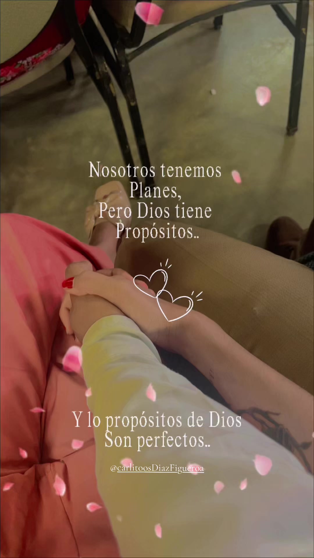 @magaly rivera