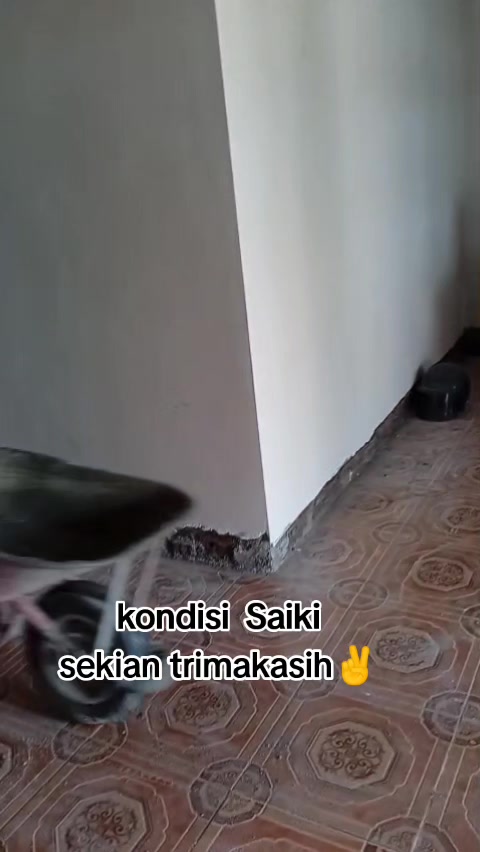 @🇸🇬jarkoni,,@###;'*🇲🇨👈💥👌