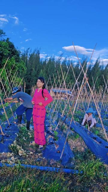 @မမပဲခူးသူ