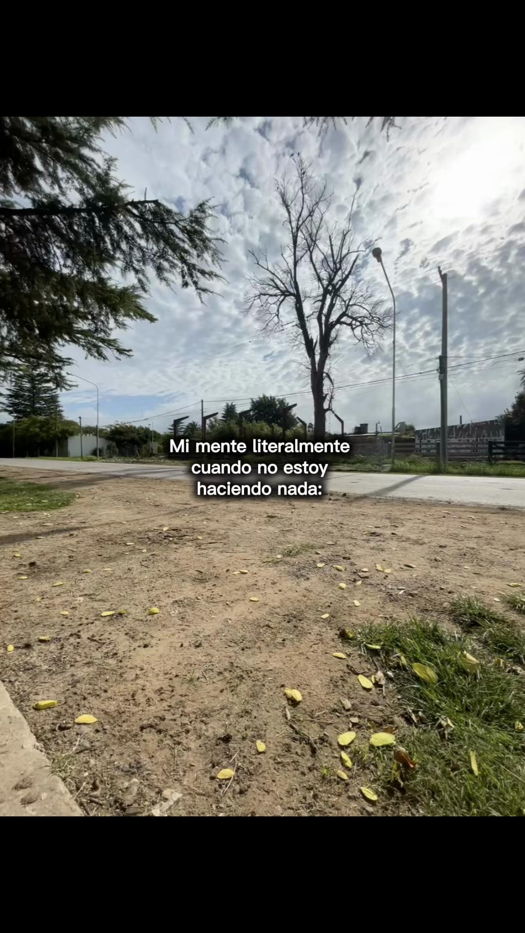 @Naza Rambosio