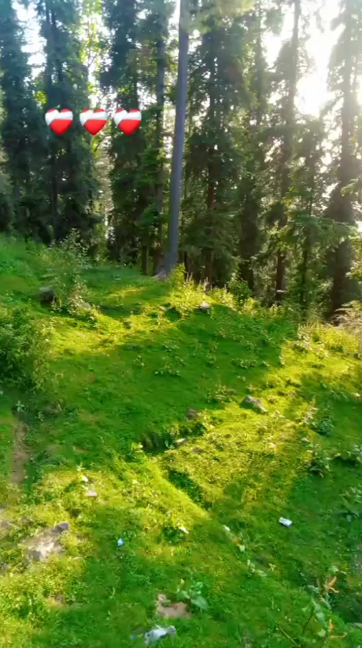 @user6199329884326
