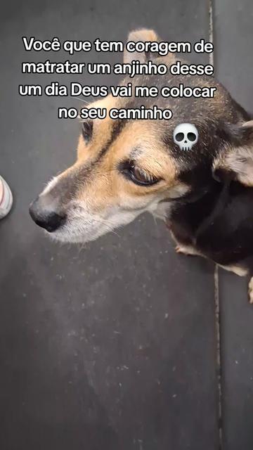 @PeixotinhoGymRat💀💪🏻