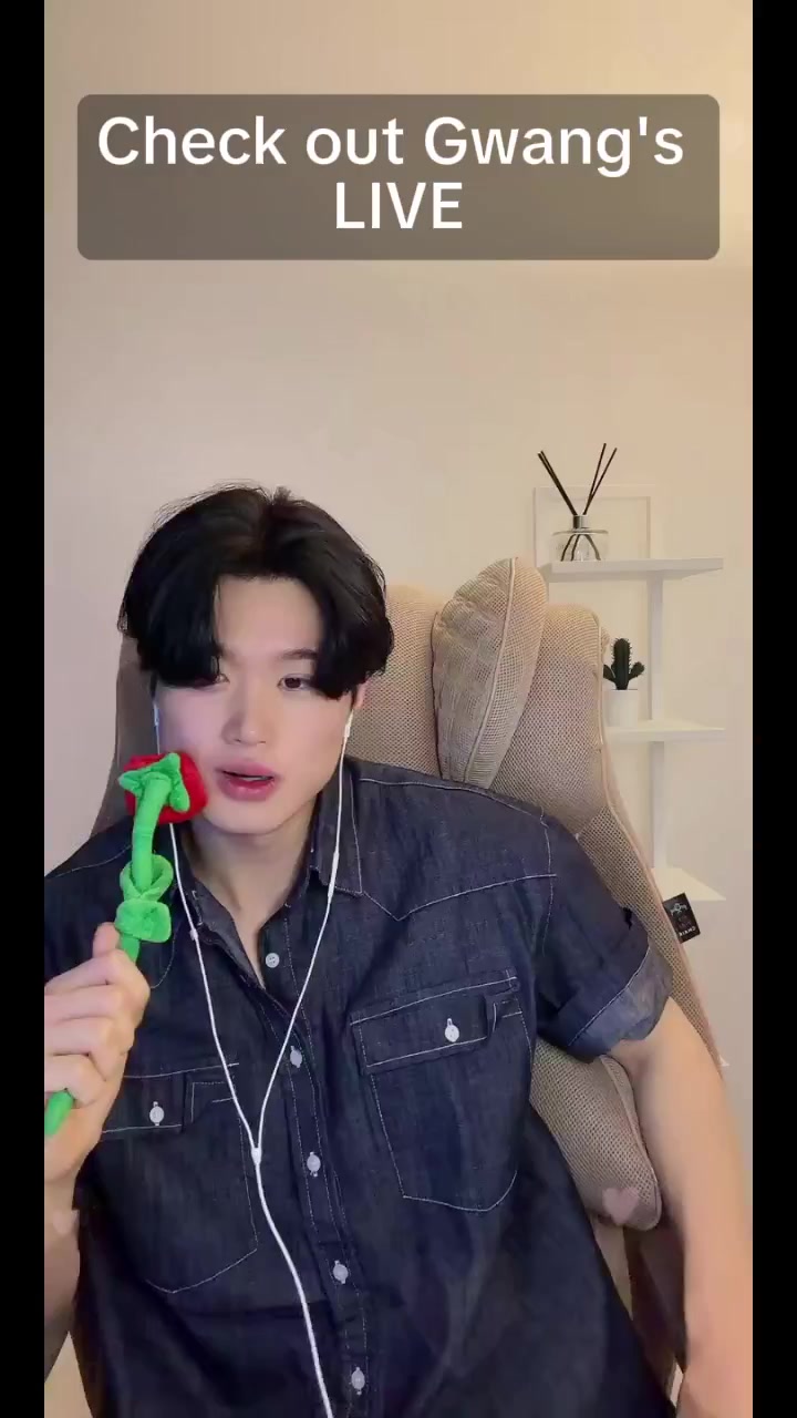 @🐉미키-Miki🐉