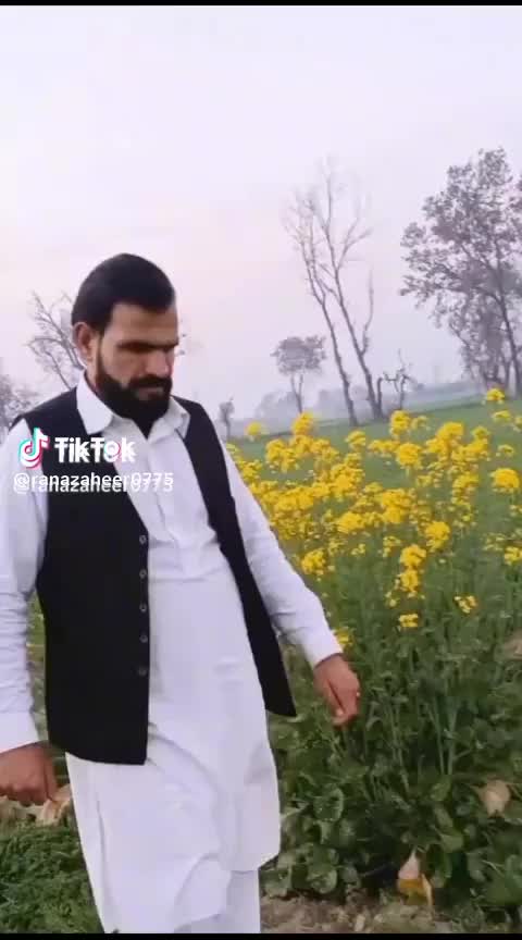 @Rana Zaheer