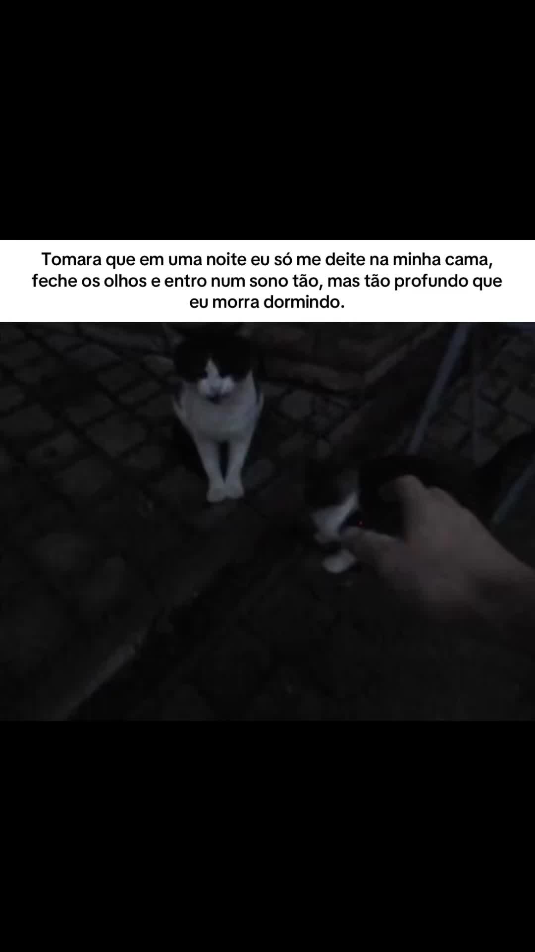 @ℓυᴄคร ᯓ★⁶⁷⁶⁷