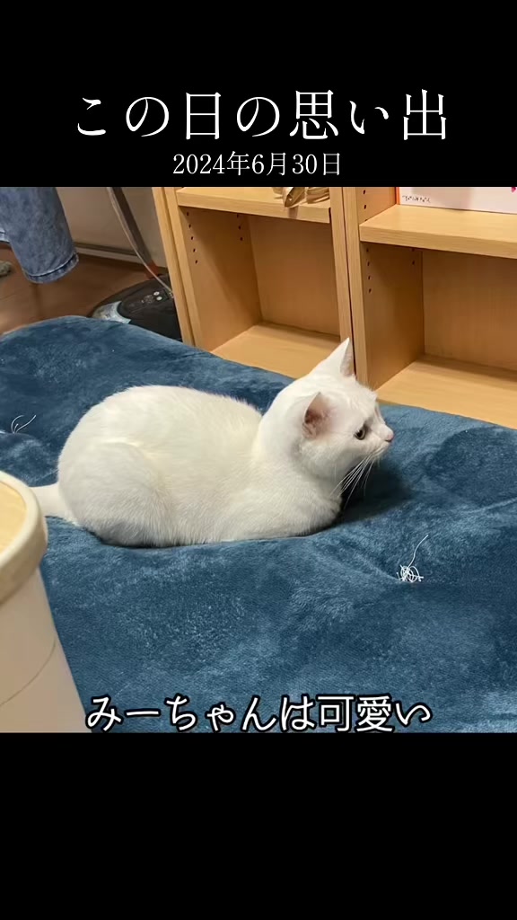 @๐ใจใใใใใ๐งธ๐๐ฃโ๏ธ๐พโ๏ธ
